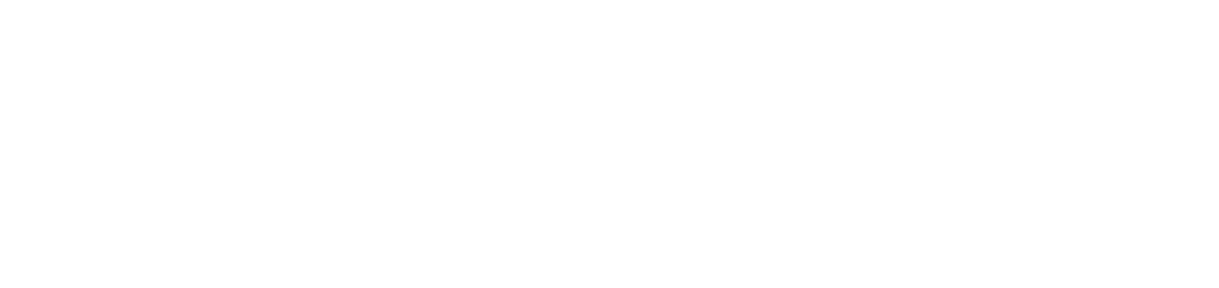 Ronie Gabbi